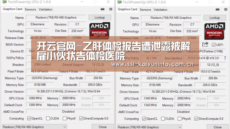 开云体育官网