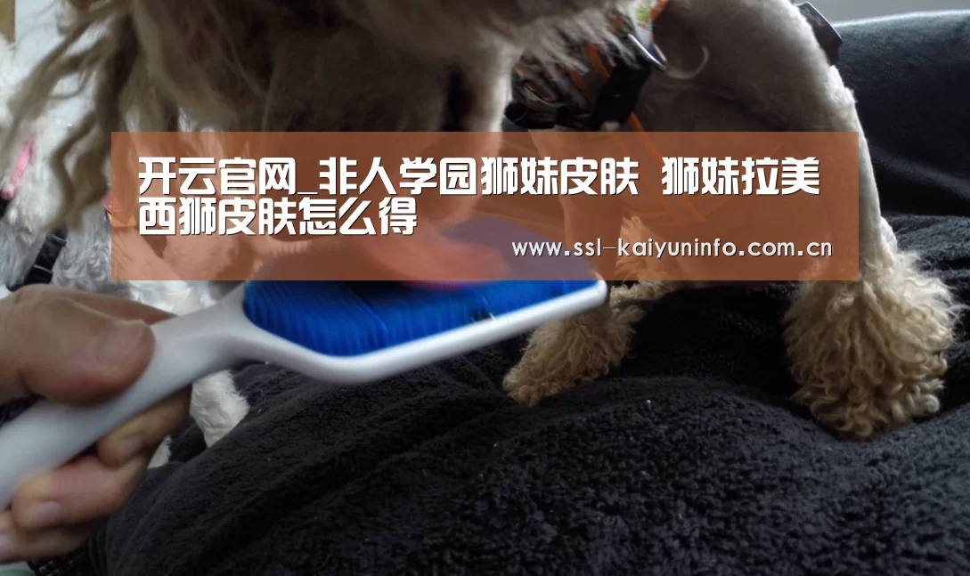 开云官网_非人学园狮妹皮肤 狮妹拉美西狮皮肤怎么得(图3) 开云体育